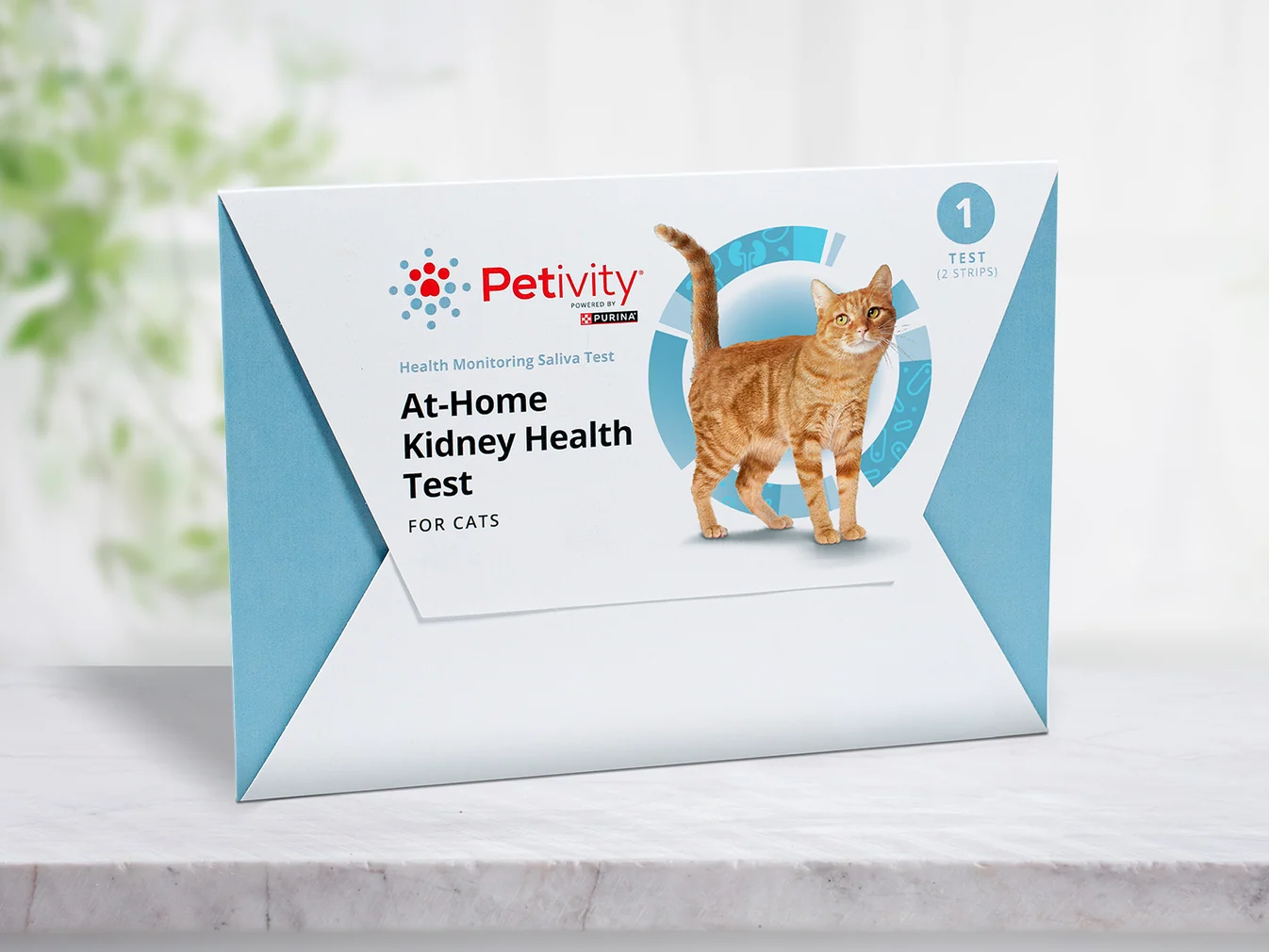 KidneyCAT Carousel 1 HERO 1 Count